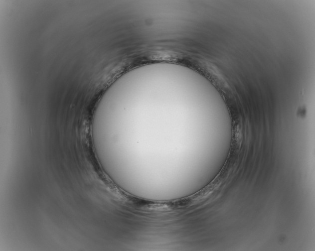 X0000090760322200707201059