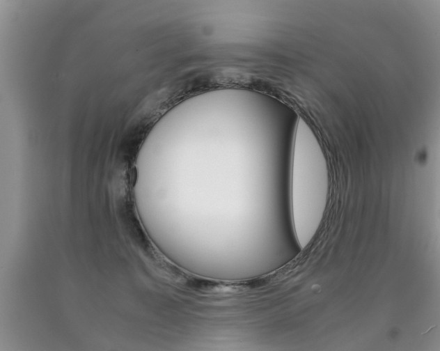 X0000090760323200707201059