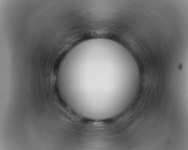 X0000090760324200707201059
