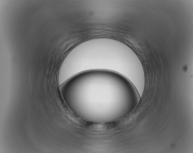 X0000090760325200707201059