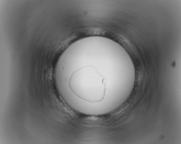 X0000090760326200707201059