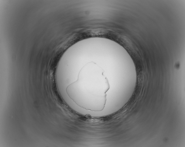 X0000090760327200707201059