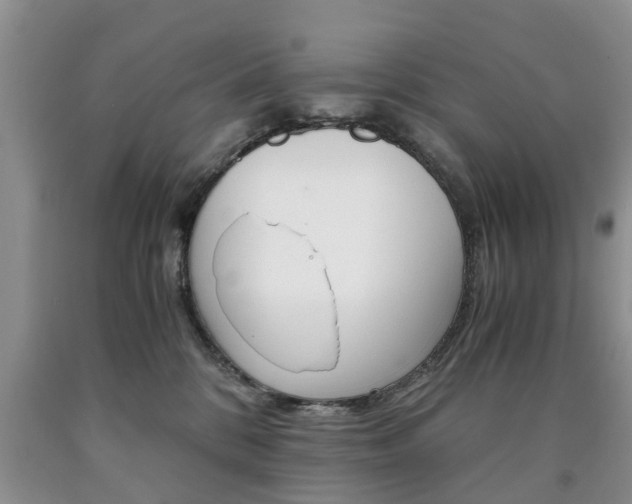 X0000090760328200707201059