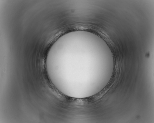 X0000090760330200707201059