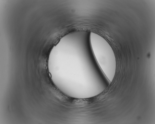 X0000090760331200707201059