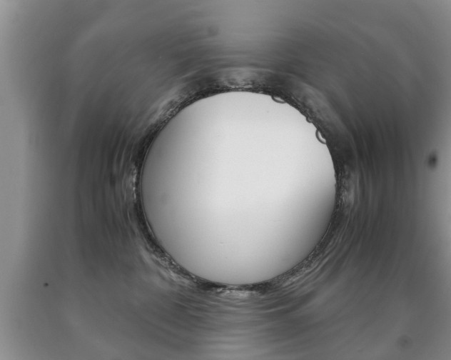 X0000090760332200707201059