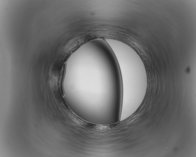 X0000090760333200707201059