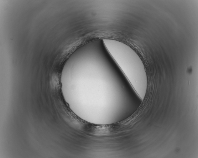 X0000090760335200707201059