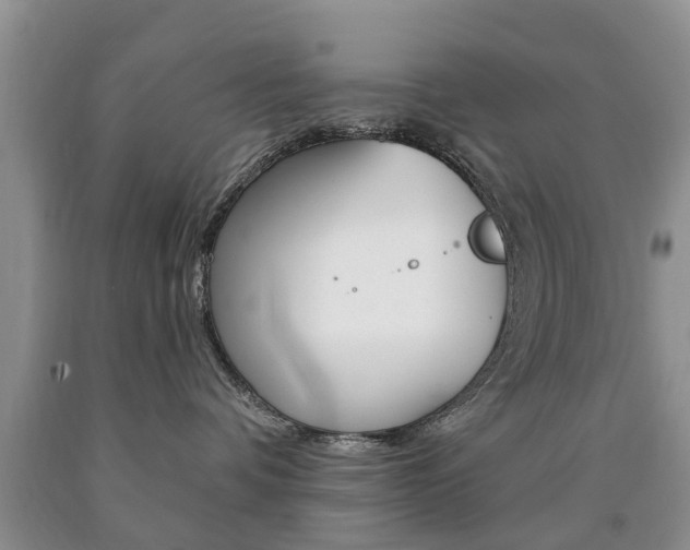 X0000090760336200707201059
