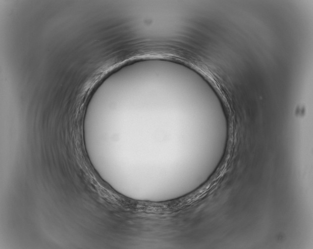X0000090760337200707201058