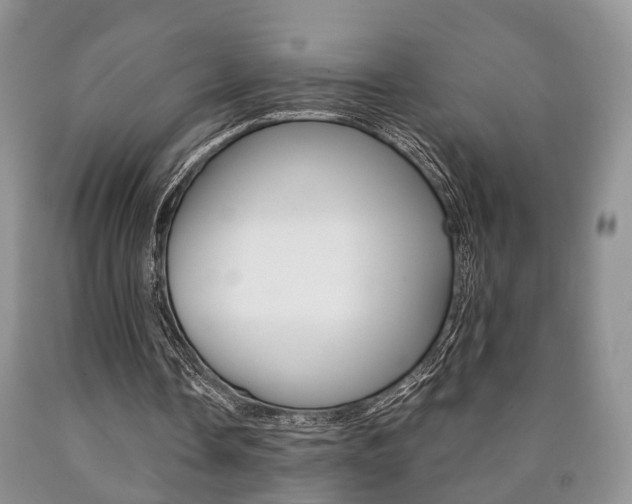 X0000090760338200707201058