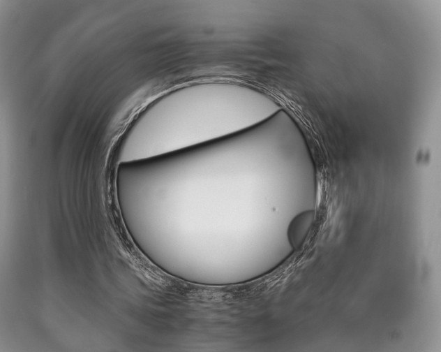 X0000090760339200707201058