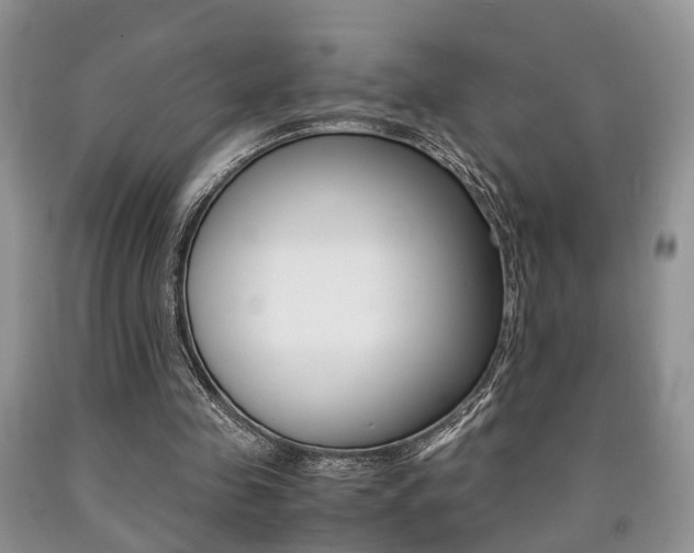 X0000090760341200707201058