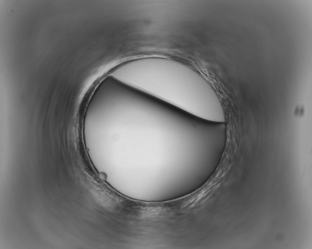 X0000090760342200707201058