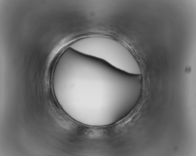 X0000090760343200707201058