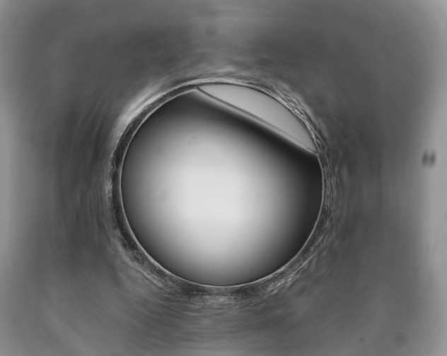X0000090760344200707201058