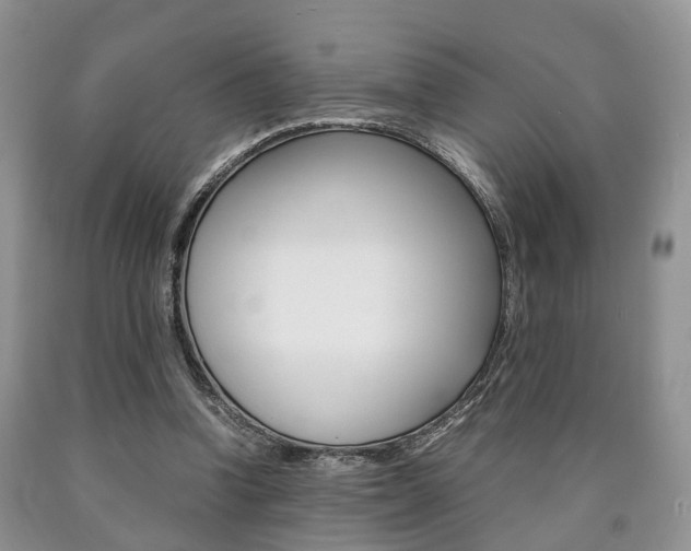 X0000090760346200707201058