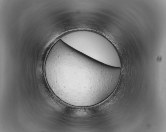 X0000090760347200707201058