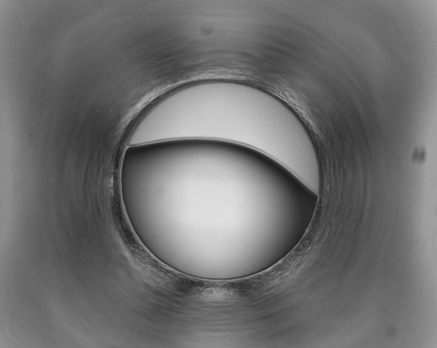 X0000090760348200707201058