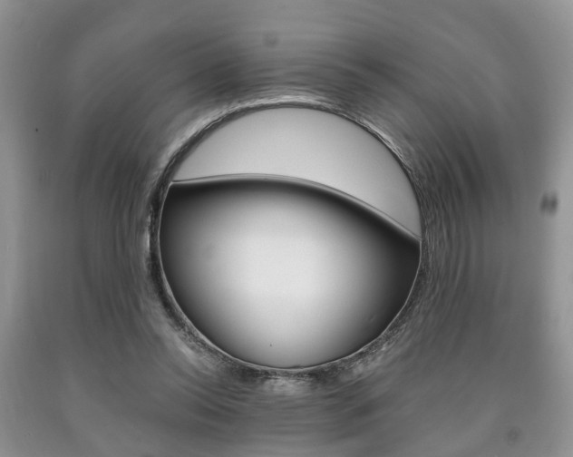 X0000090760350200707201058