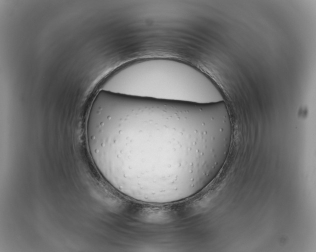 X0000090760351200707201058