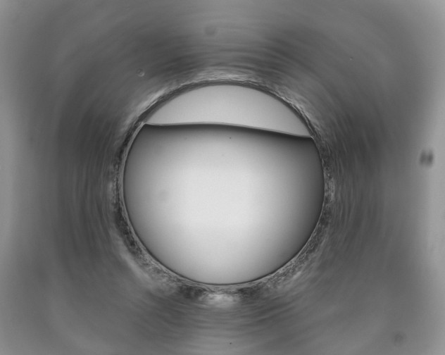 X0000090760352200707201058