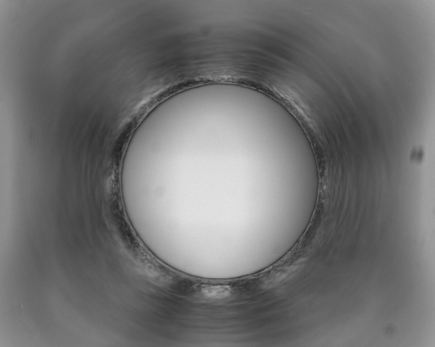 X0000090760355200707201058