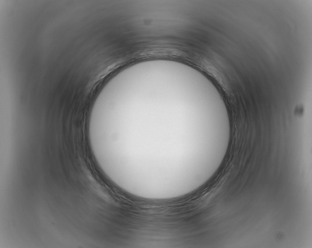 X0000090760356200707201058