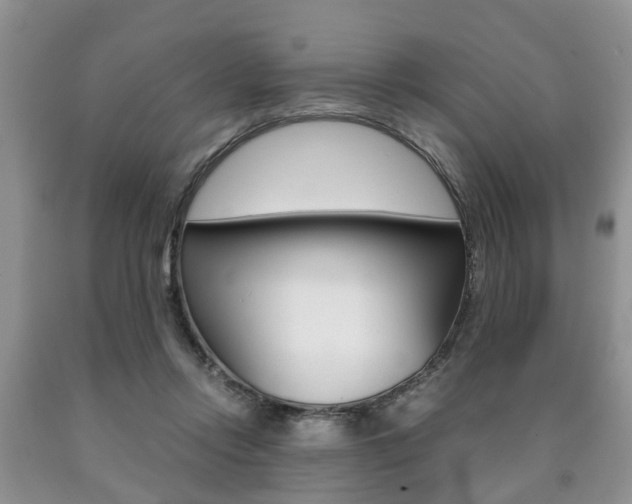 X0000090760358200707201058