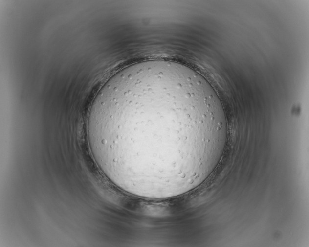 X0000090760359200707201059