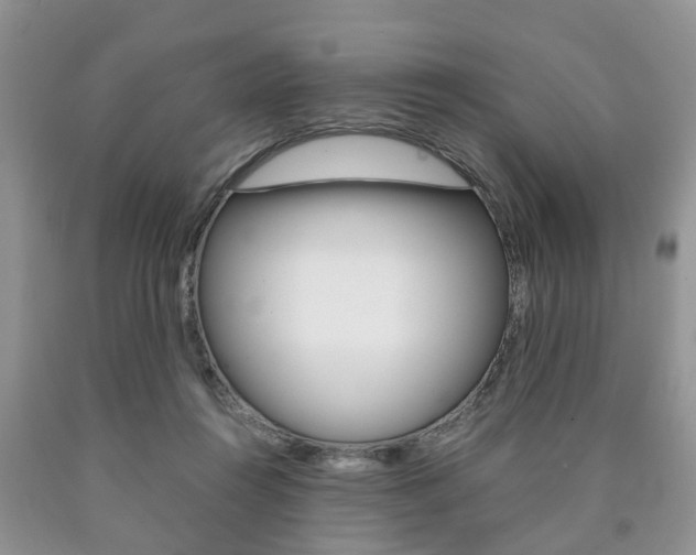 X0000090760360200707201059