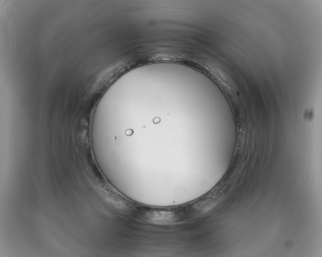 X0000090760361200707201059
