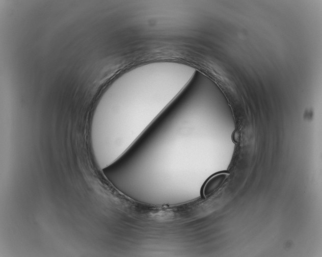 X0000090760362200707201059