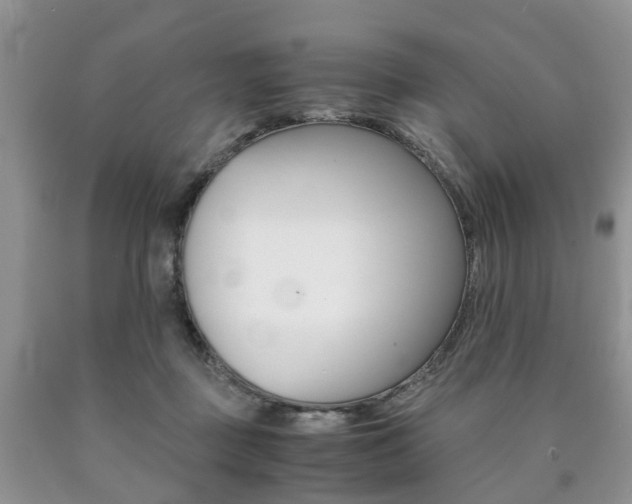 X0000090760363200707201059