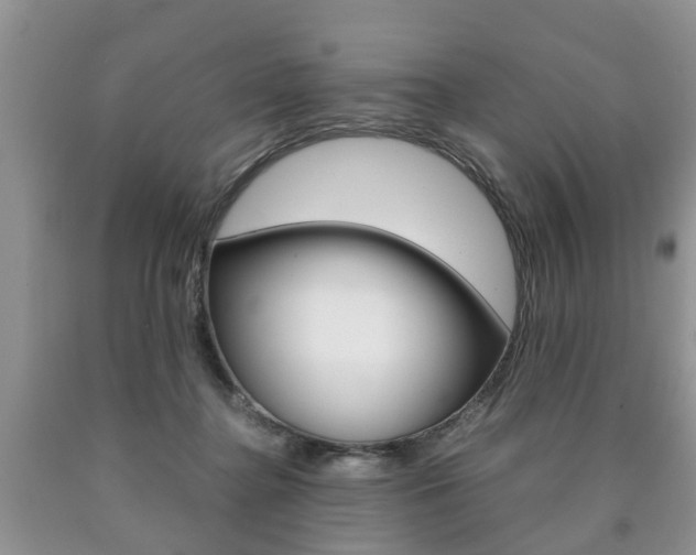 X0000090760364200707201059