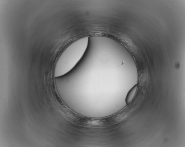 X0000090760365200707201059