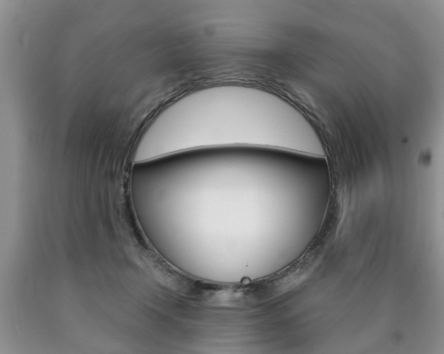 X0000090760366200707201059