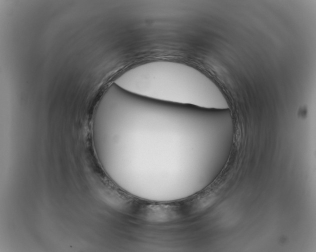 X0000090760367200707201059