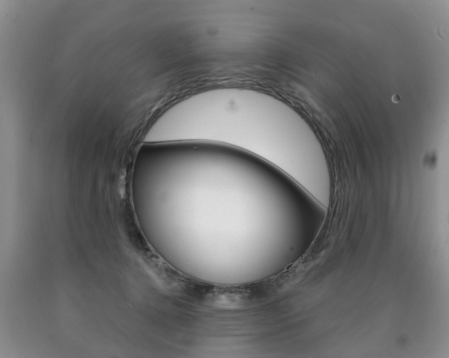 X0000090760368200707201059