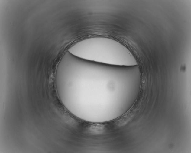 X0000090760369200707201059