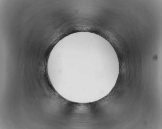 X0000090760370200707201059