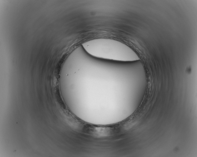 X0000090760371200707201059
