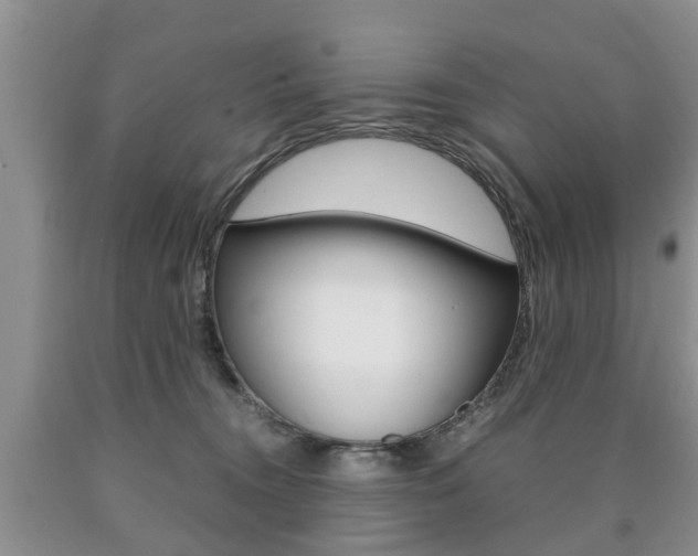 X0000090760372200707201059