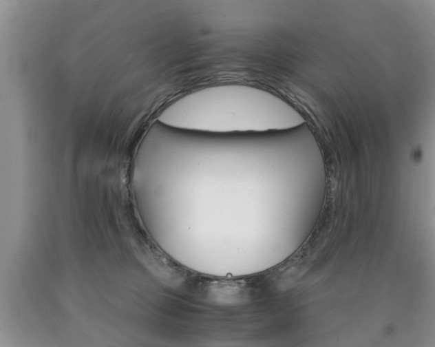 X0000090760373200707201059