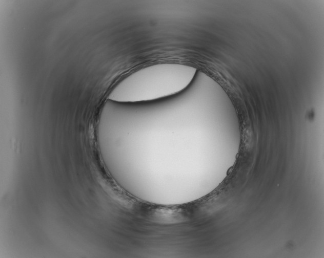 X0000090760375200707201059