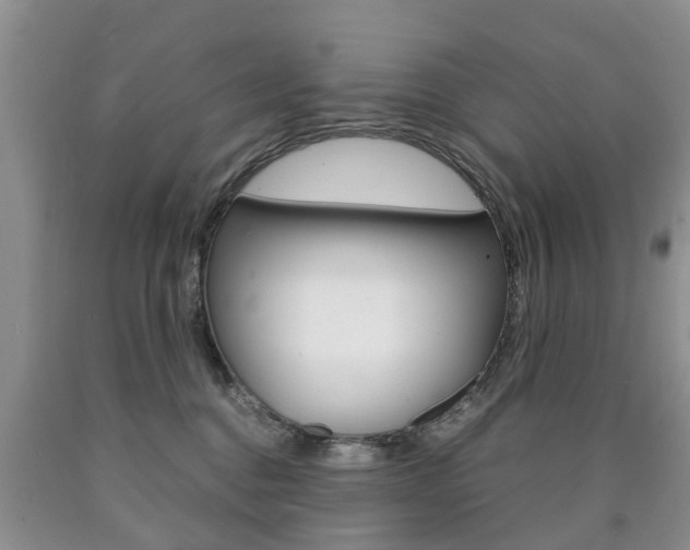 X0000090760376200707201059