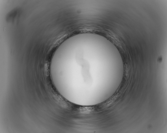 X0000090760378200707201059