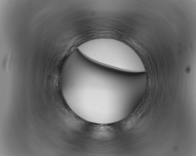 X0000090760379200707201059