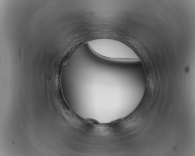 X0000090760380200707201059