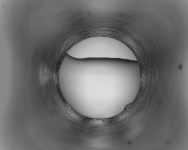X0000090760381200707201059